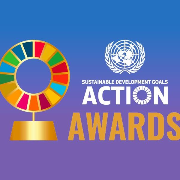 The UN SDG Action Awards