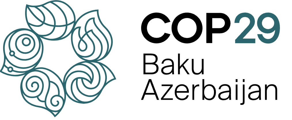 Итоги COP29: чего ожидать странам Центральной Азии?