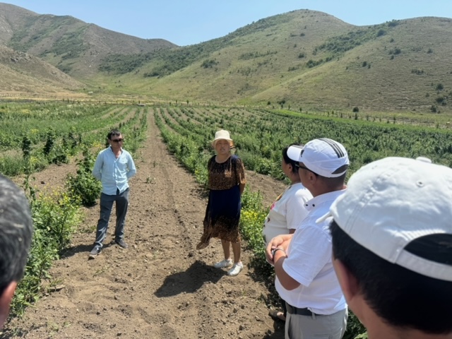 Farmer to Farmer: How to grow rich yield and save the water. Coca-Cola project in Kyrgyzstan 