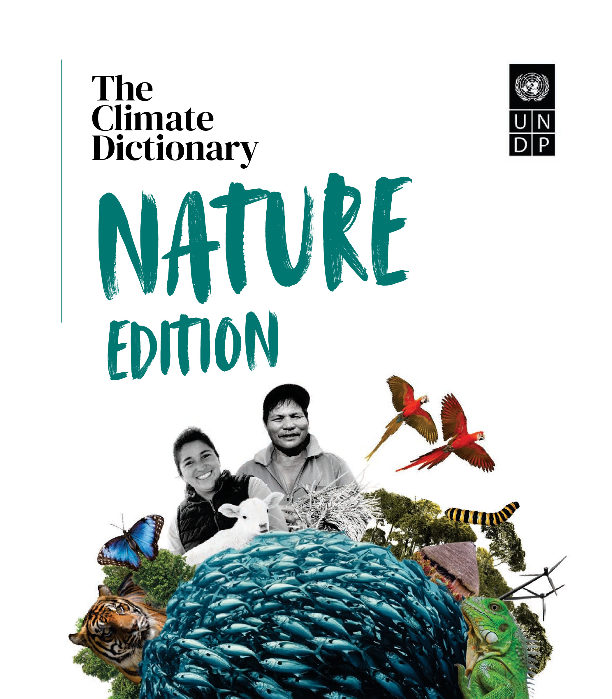 The Climate Dictionary: Nature Edition, 2024 | UNDP