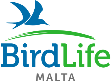 ESC-volunteering at the BirdLife Malta environmental organization