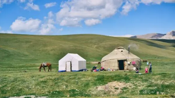 ‘The Mountain Wagtail’: How Pollution and Mining Are Destroying Kyrgyzstan 