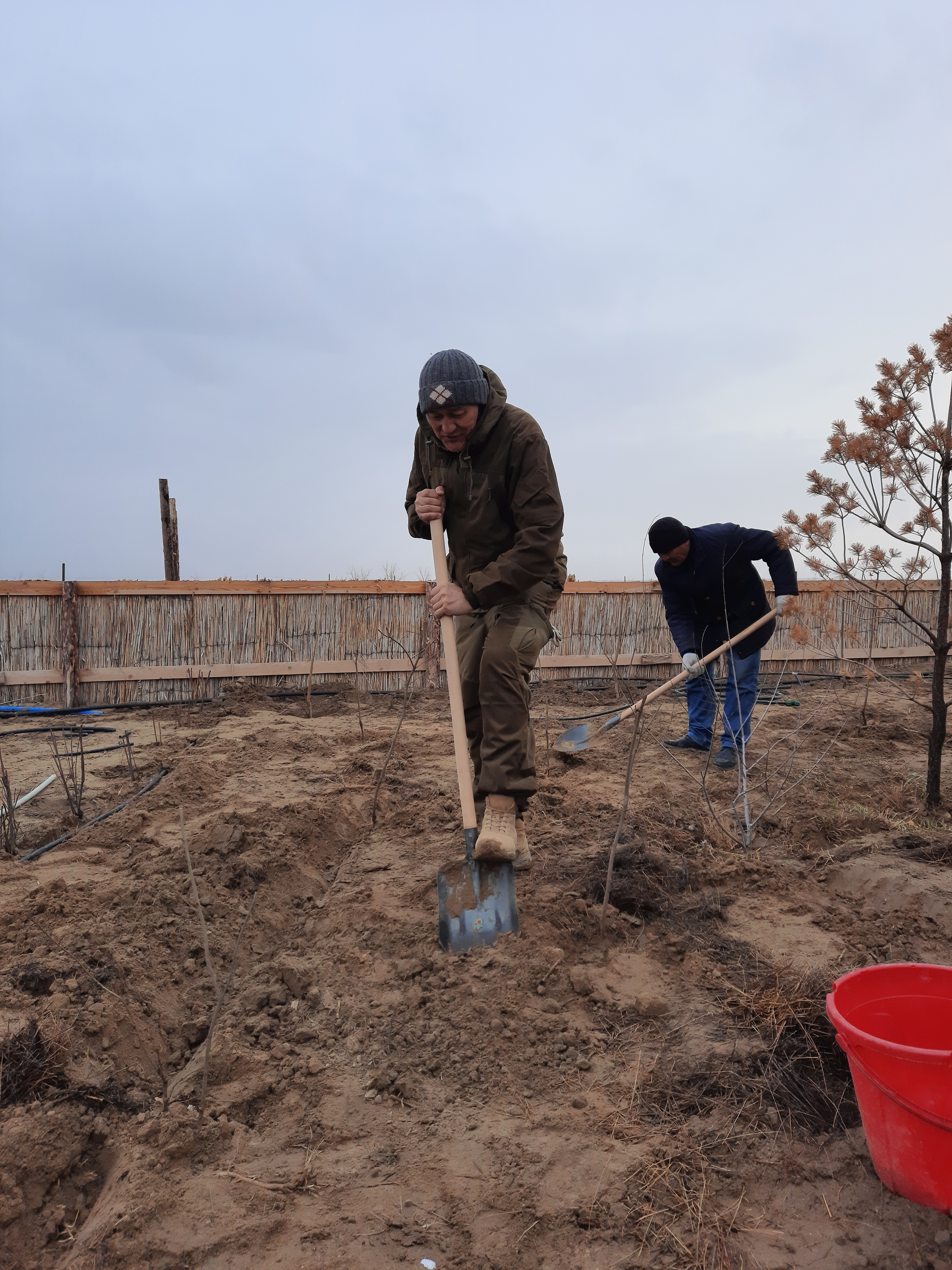 Национальный Нексус демо-проект в Казахстане «Облесение высохшего дна Аральского моря: пилотирование системы выращивания саженцев саксаула с закрытой корневой системой»
