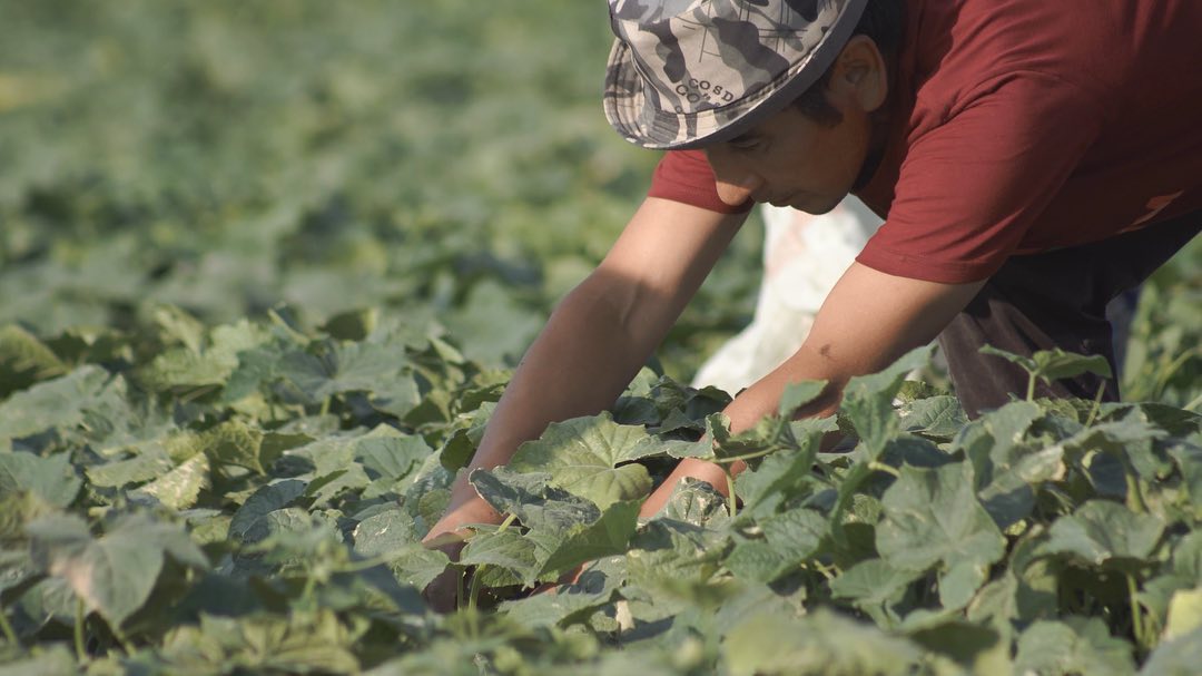 How is Kyrgyzstan adapting agriculture to new climate challenges?