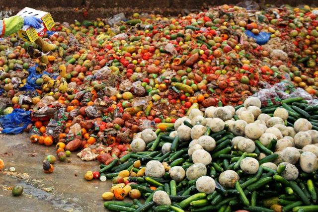 "Вся правда об экологии" | Миф 10: «Пищевые отходы не причиняют вреда планете»