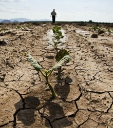 Convention to Combat Desertification in Central Asia: opportunities for cooperation