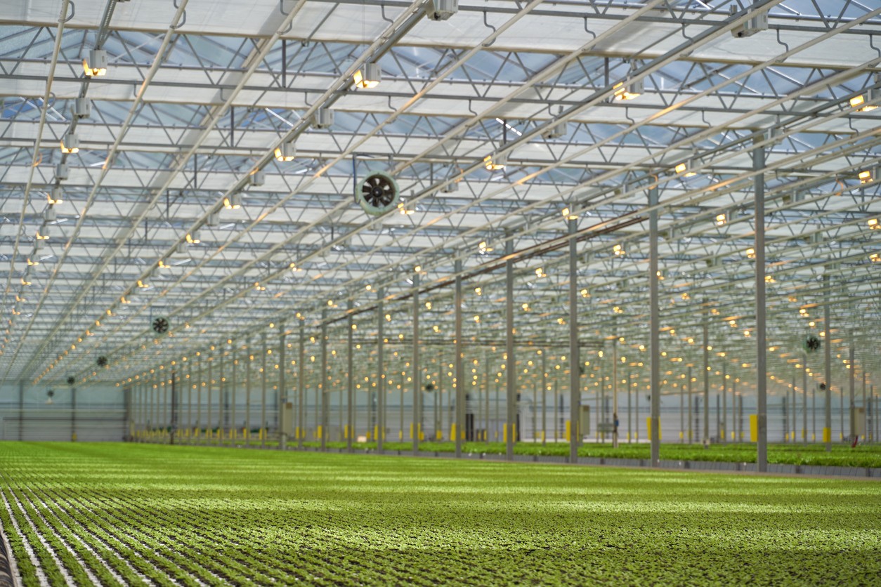 Kazakhstan to Build the World’s Largest Greenhouse
